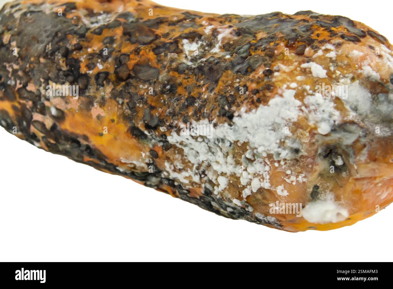 rotten papaya isolate on white background Stock Photo