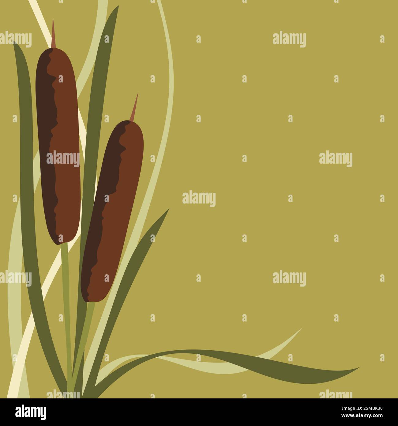 Decorative frame with brown reeds, dark and light green leaf on a green background Stock Photo
