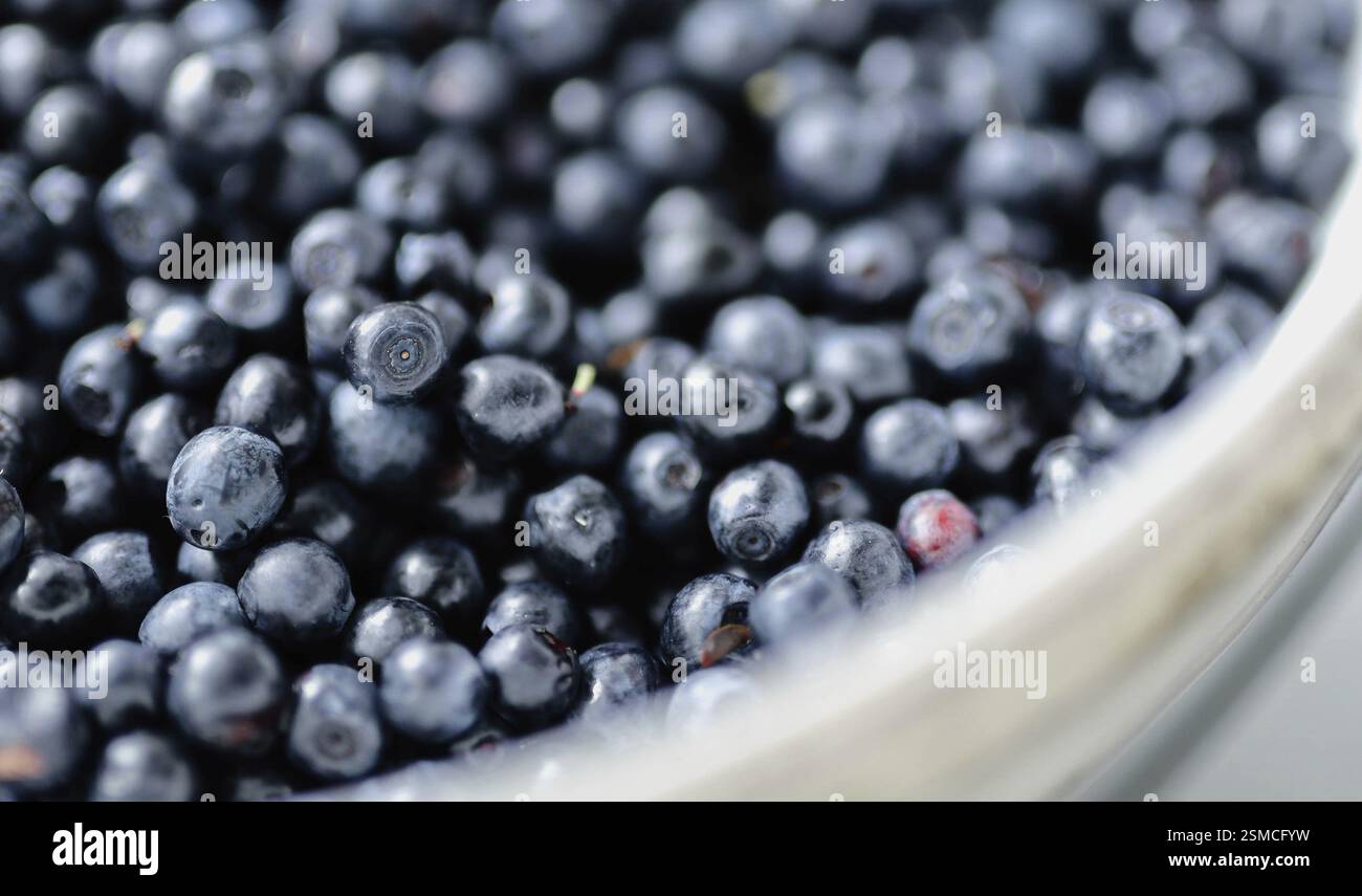 Fresh blueberries gathered in a bowl, close-up view Stock Photo