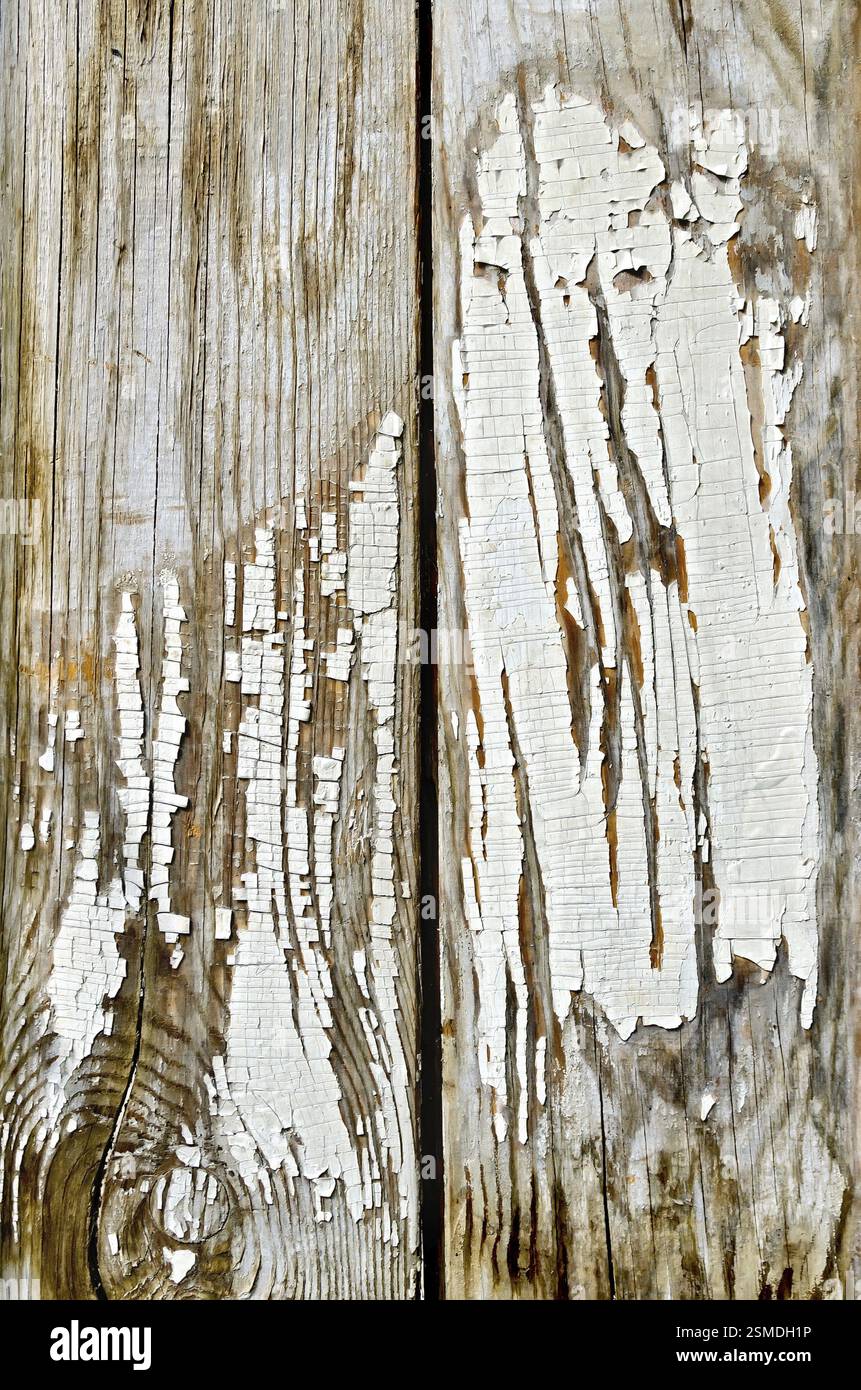 The texture of the old boards with peeling white paint Stock Photo - Alamy
