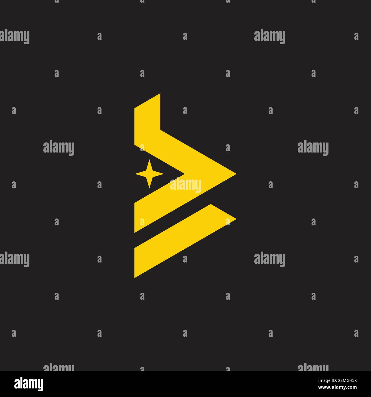 letter bb star simple geometric lines logo vector Stock Vector