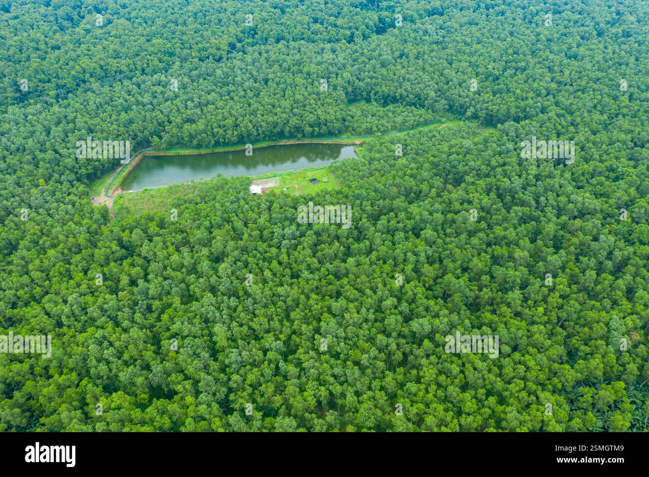 Naxodkadagi porno galereyalar Playboy, rus porno jurnali