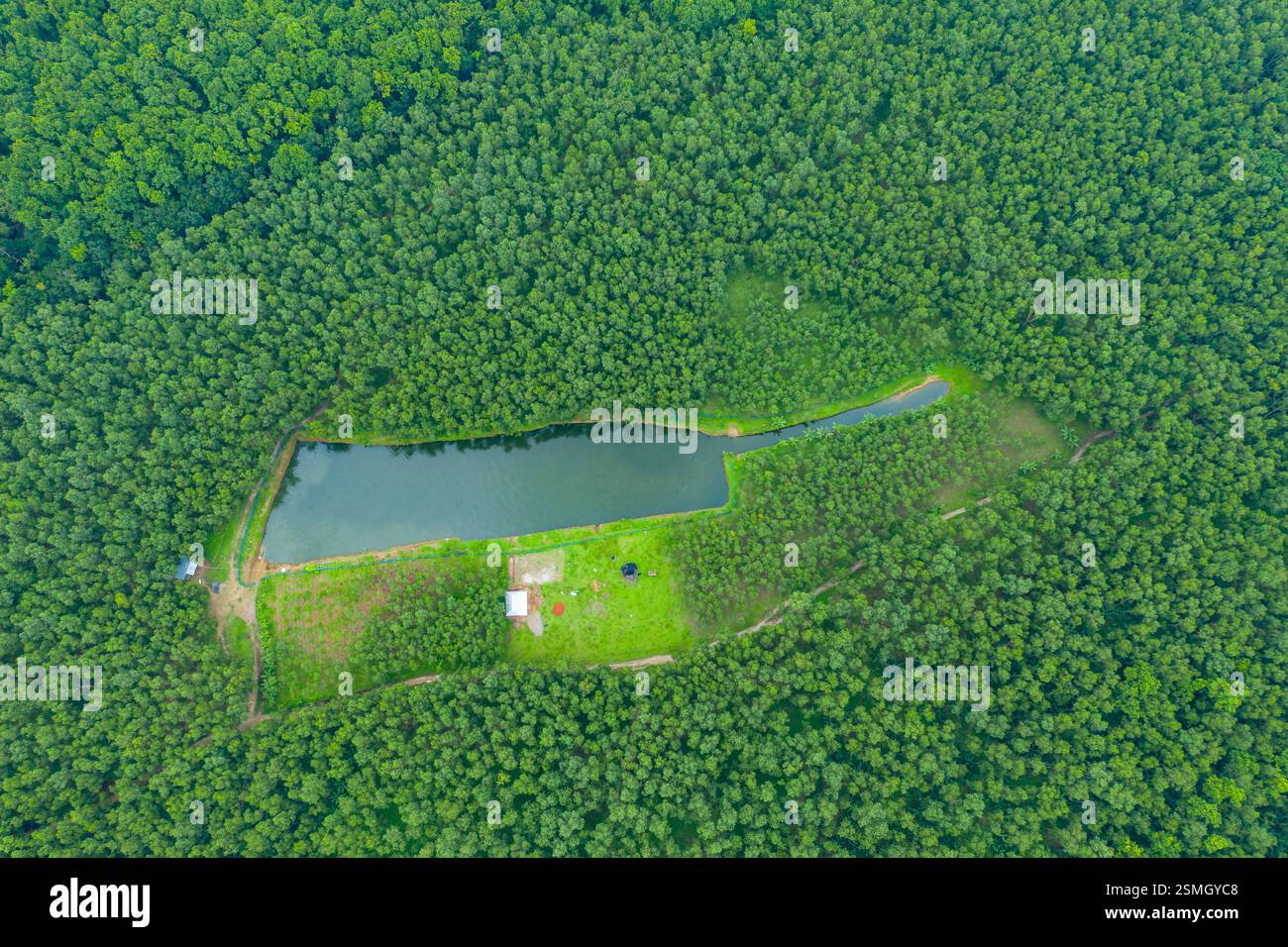 Brothers-dan muvaffaqiyatli yapon porno aktrisasi Qiz yigitni sorishi kerakmi?