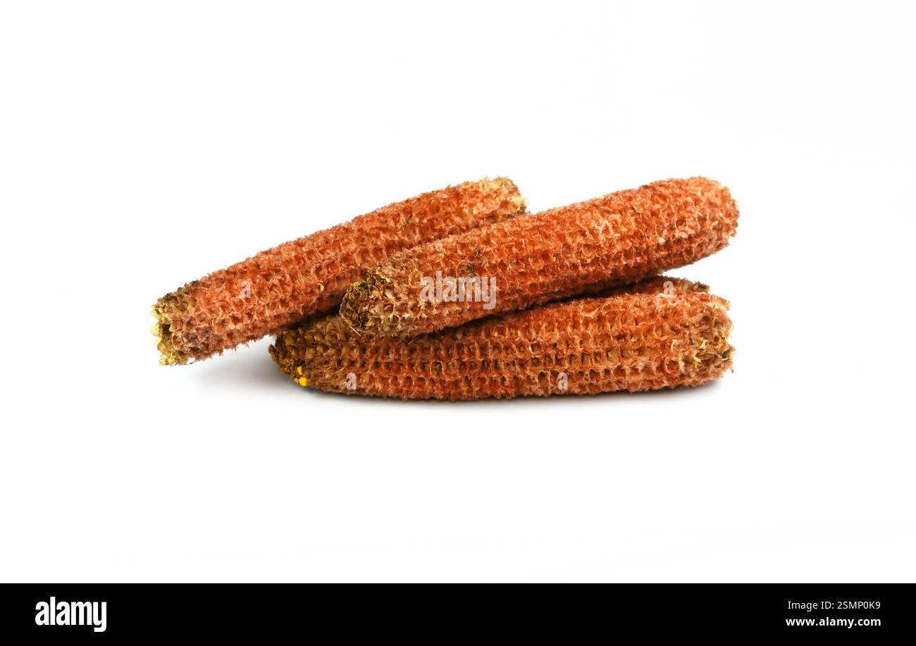 Core of corn isolated on white background Stock Photo - Alamy