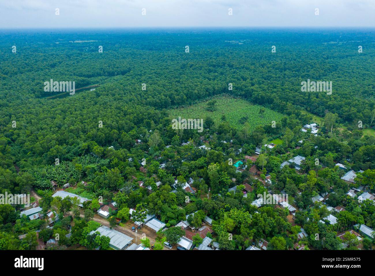 An aerial view of Madhupur Forest in Tangail, revealing houses built by land grabbers encroaching on the natural landscape. Bangladesh. Stock Photo