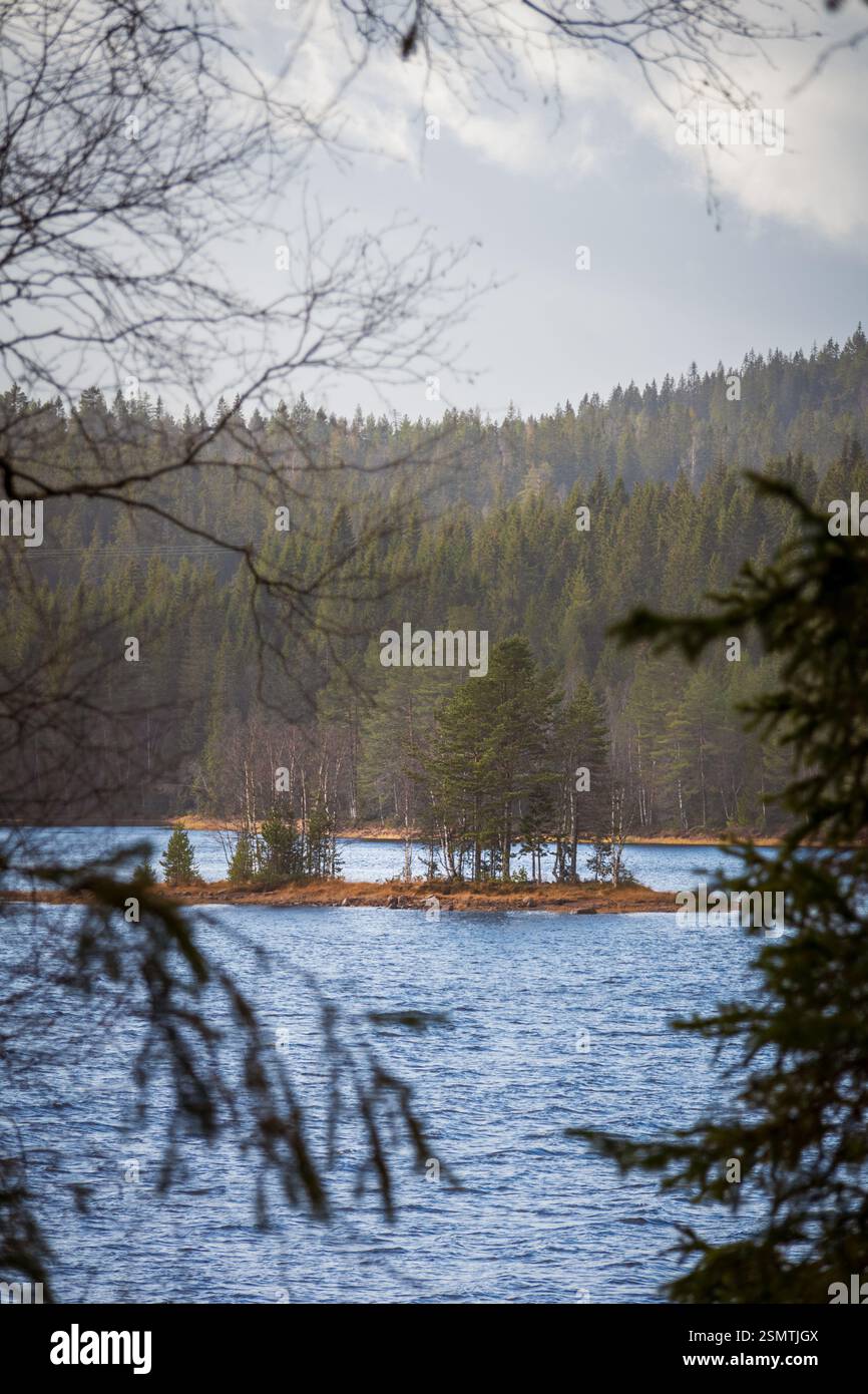 Storøyungen Lake—serene waters, rocky shores, and a lone pine defying ...