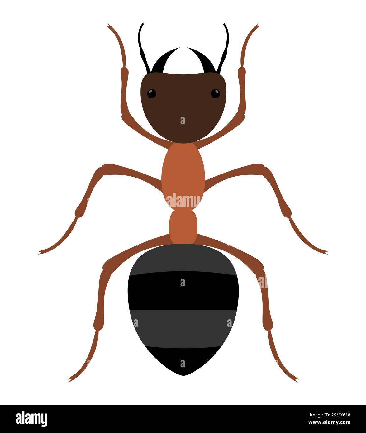 flat style insects wildlife animals vector illustration isolated on ...