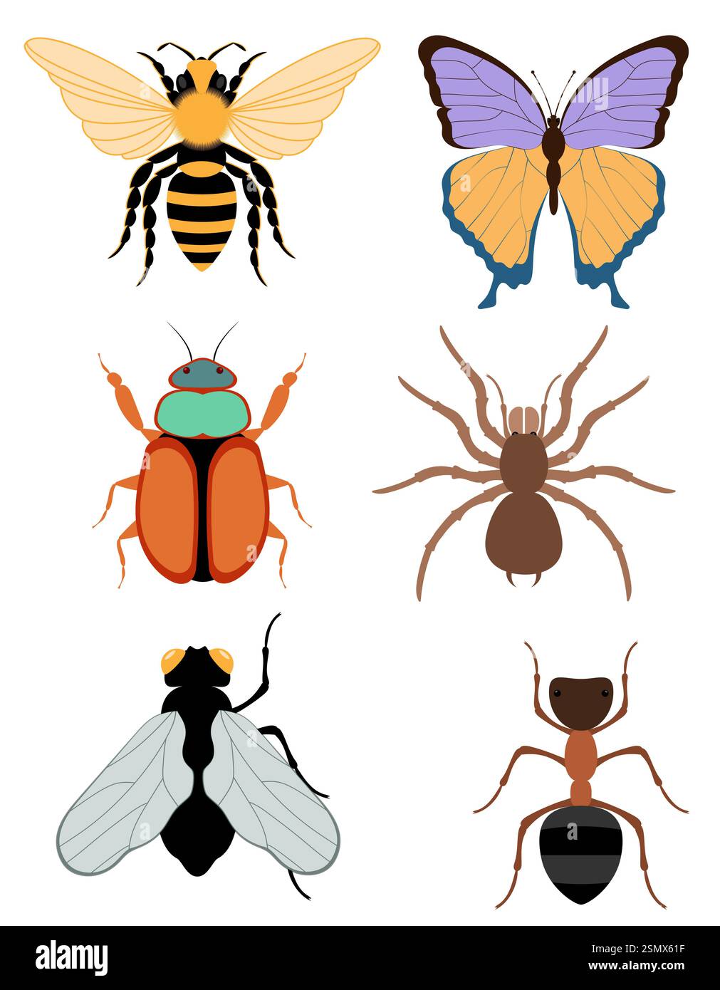 flat style insects wildlife animals vector illustration isolated on ...