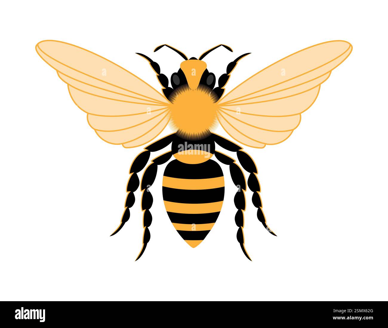 flat style insects wildlife animals vector illustration isolated on ...