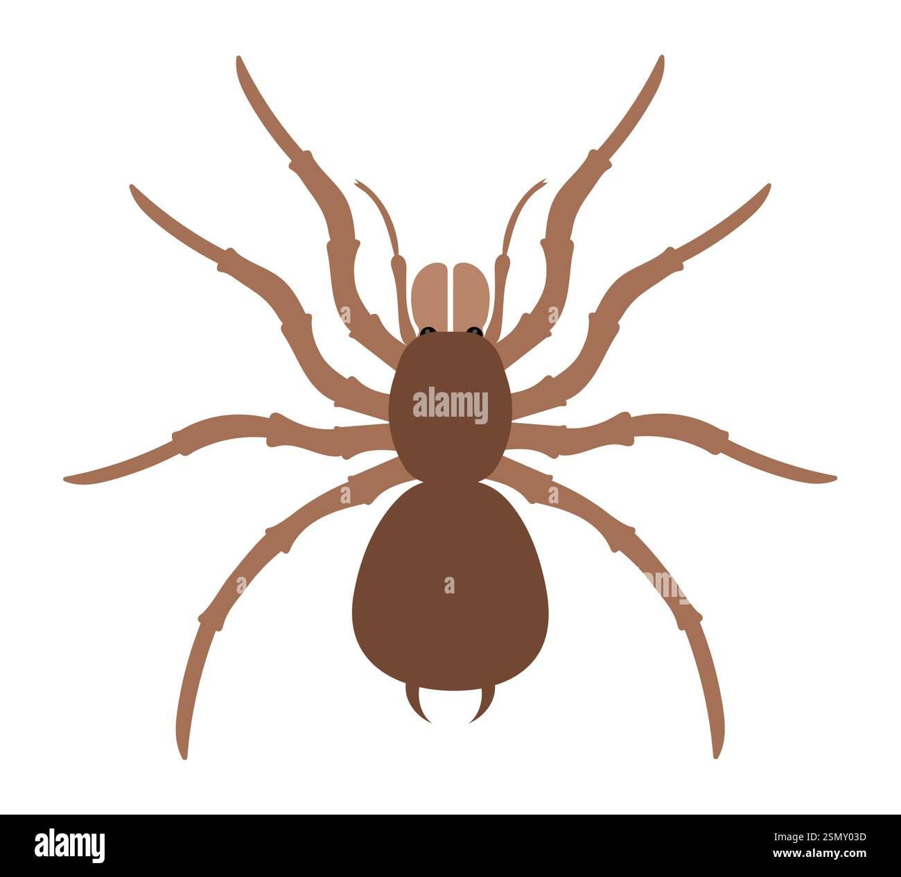 flat style insects wildlife animals vector illustration isolated on ...