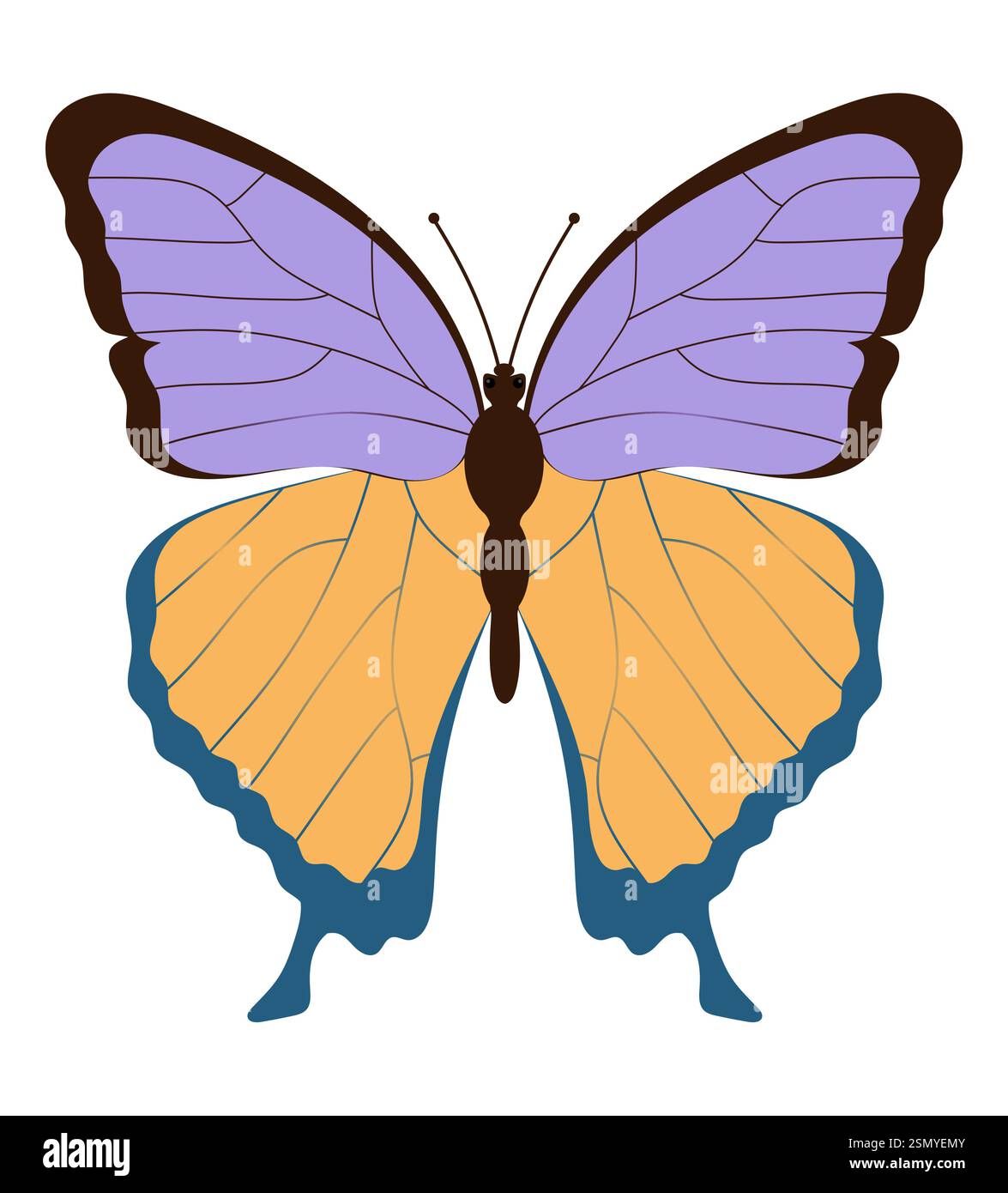 flat style insects wildlife animals vector illustration isolated on ...