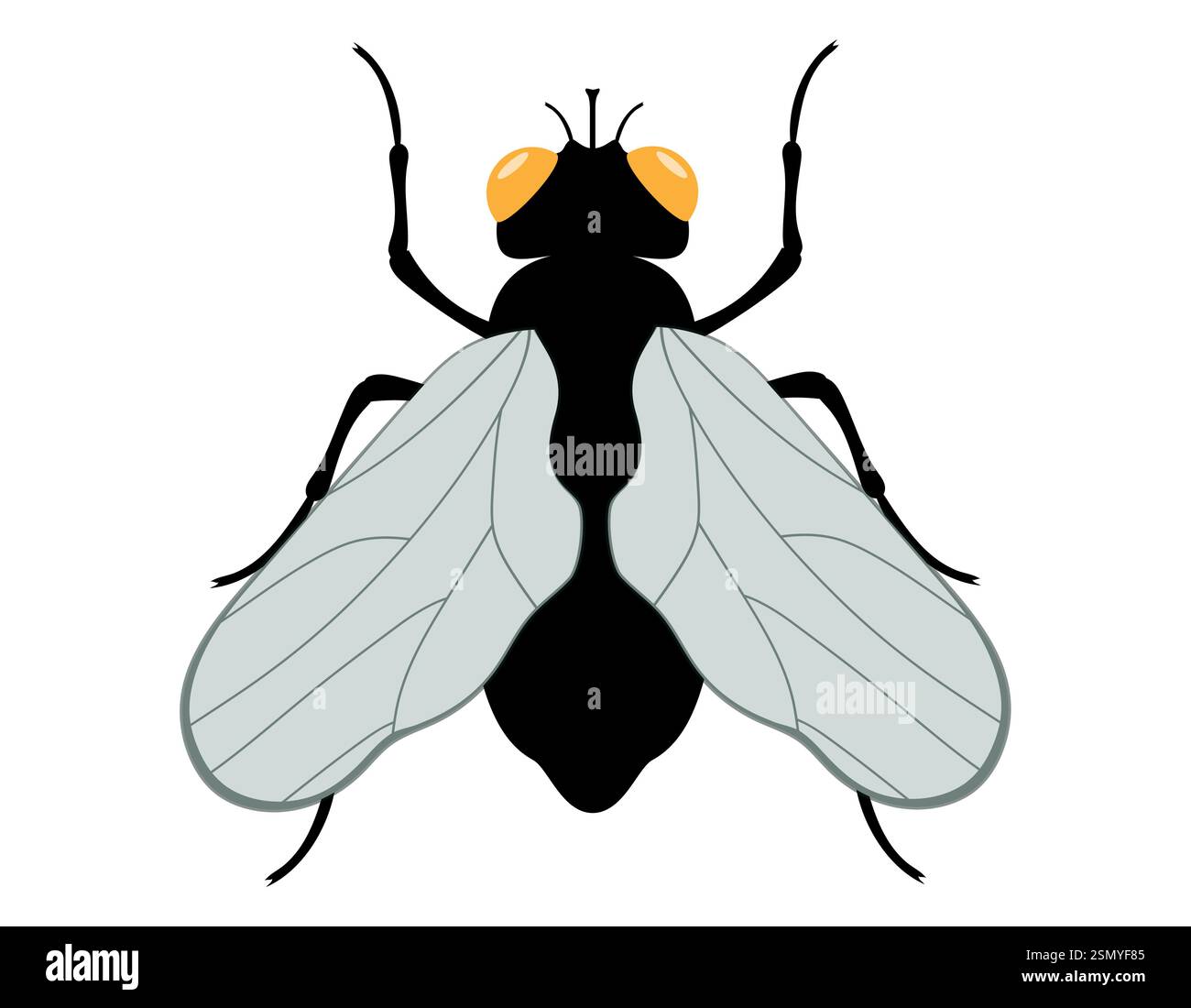flat style insects wildlife animals vector illustration isolated on ...