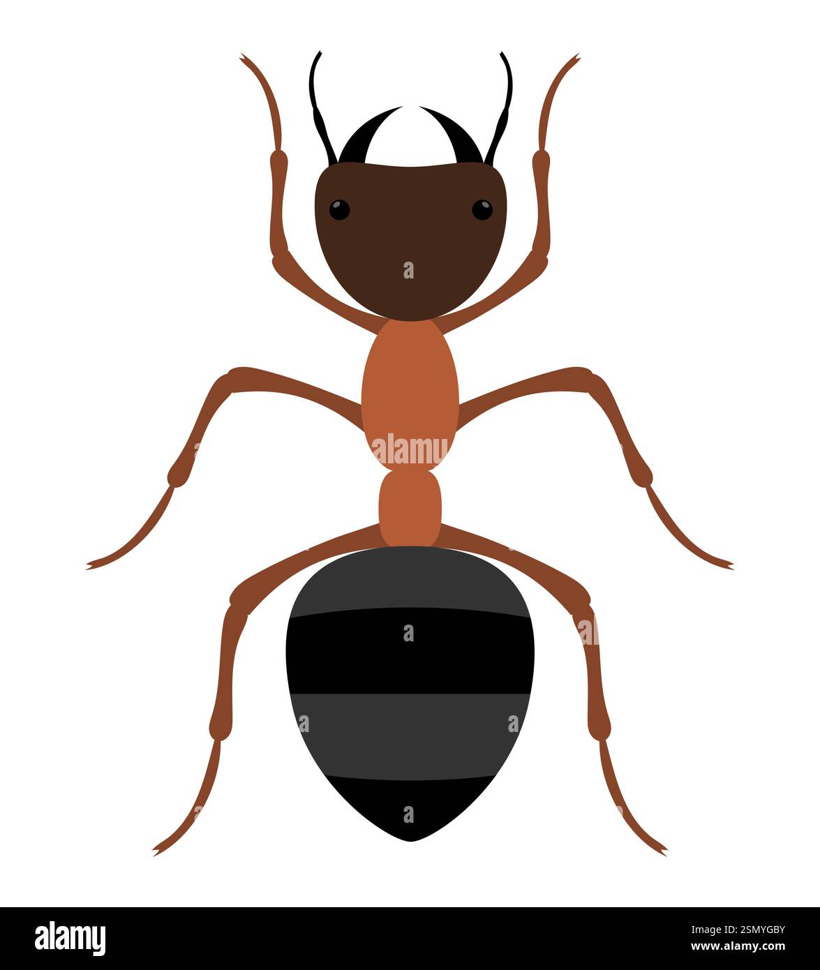flat style insects wildlife animals vector illustration isolated on ...