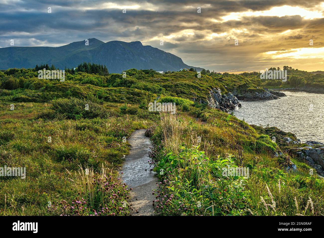 Vevang Panoramic view of a path through lush green grass with mountains and a ...