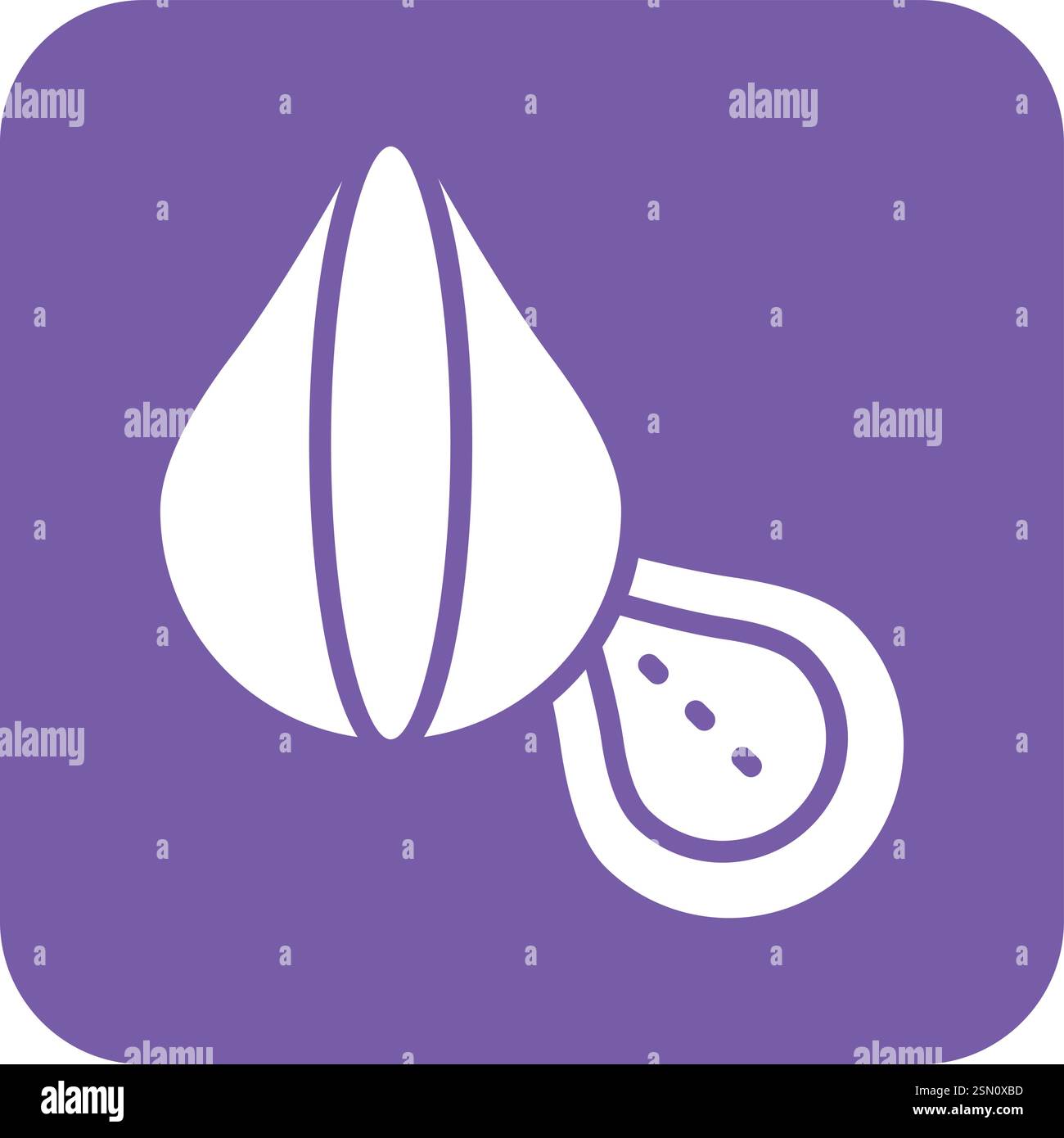 Chestnut Vector Icon Design Illustration Stock Vector