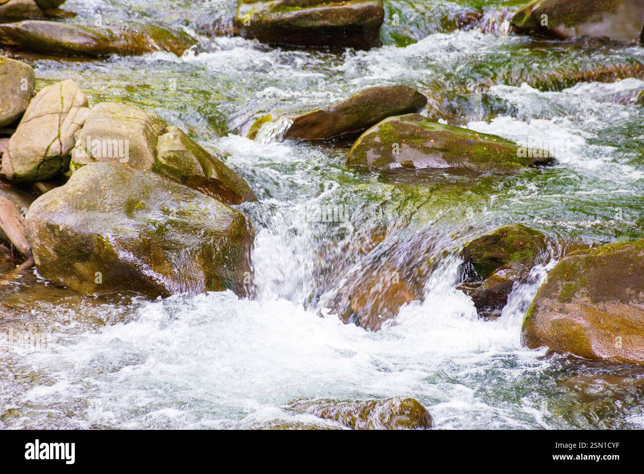 rapid water stream among rocks and stones. beautiful nature background in romanian mountains. closeup view from above Stock Photo