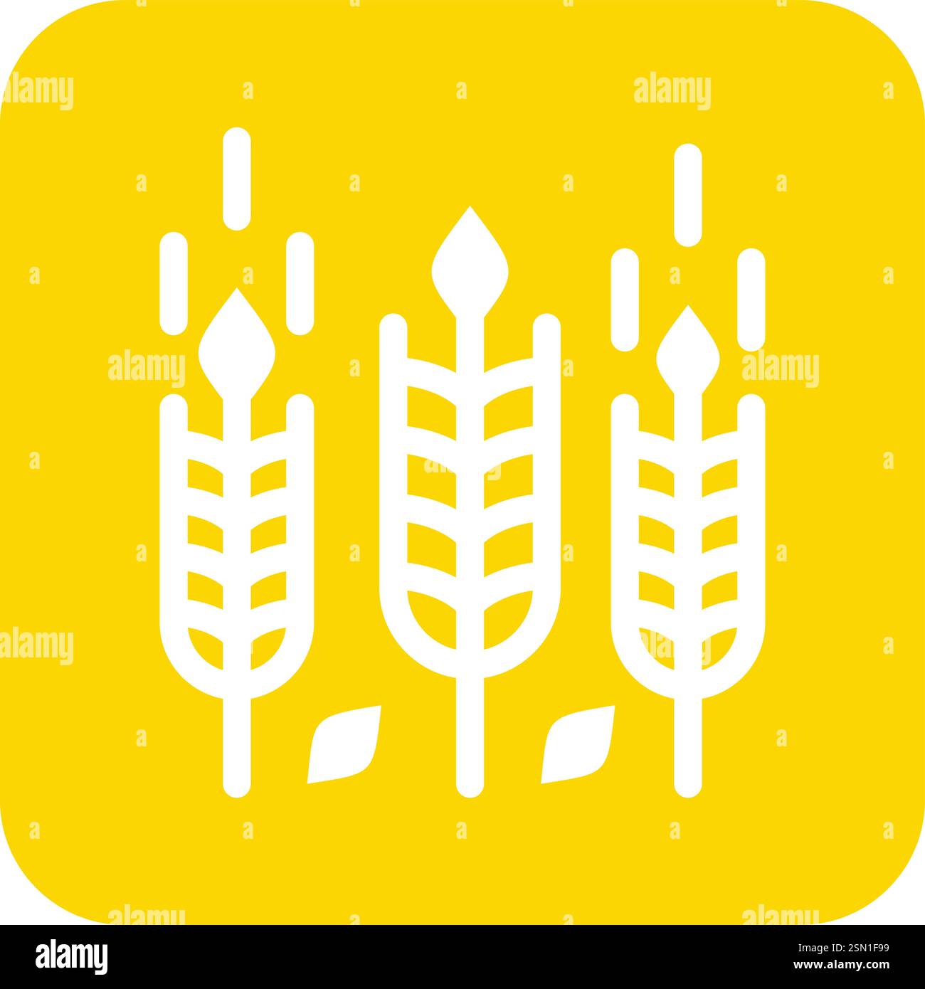 Wheat Vector Icon Design Illustration Stock Vector