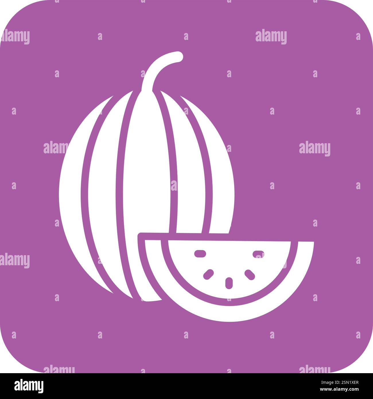 Watermelon Vector Icon Design Illustration Stock Vector