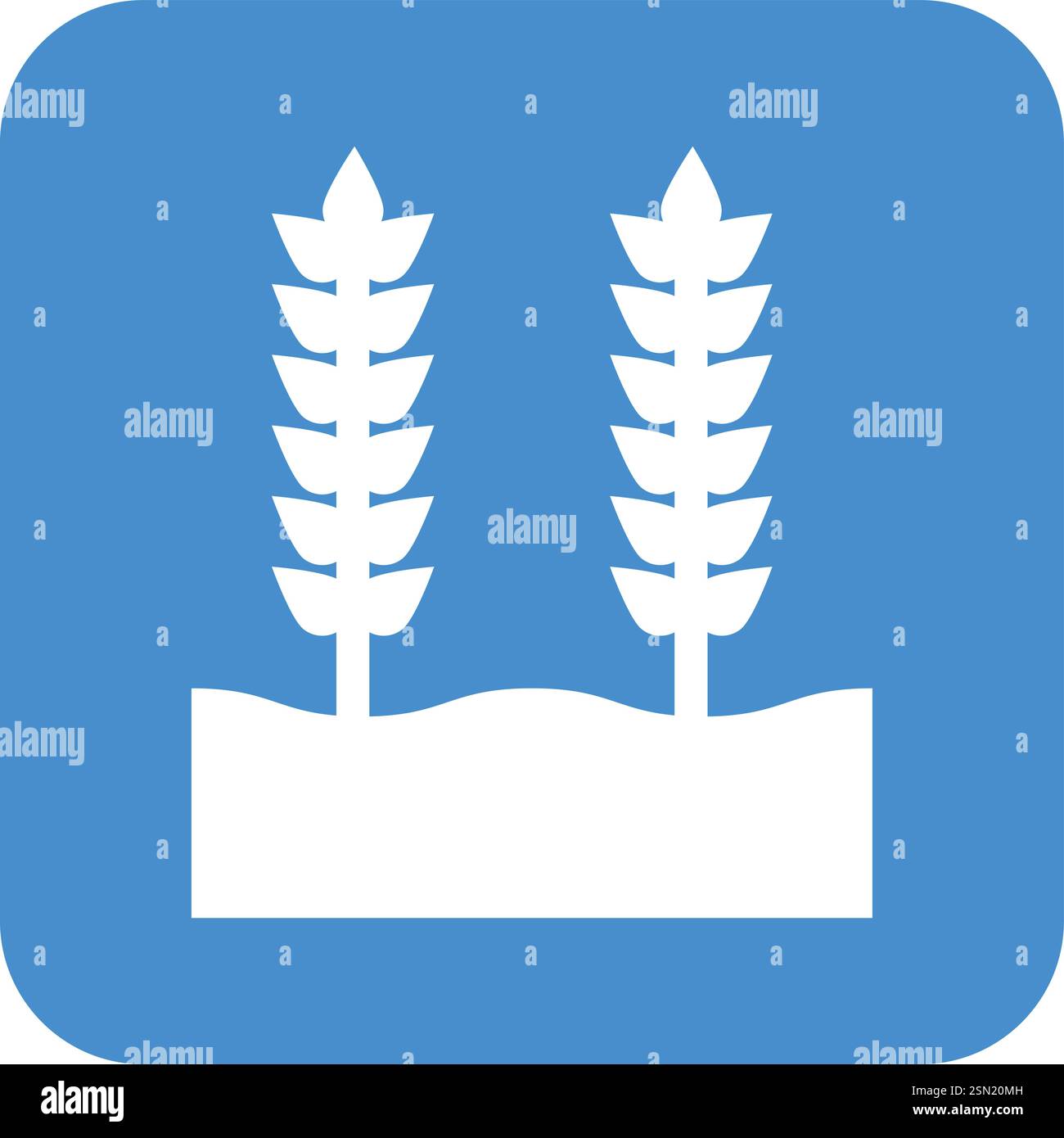 Wheat grain Vector Icon Design Illustration Stock Vector