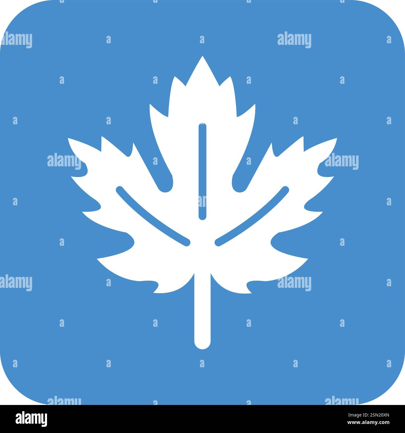 Maple leaf Vector Icon Design Illustration Stock Vector