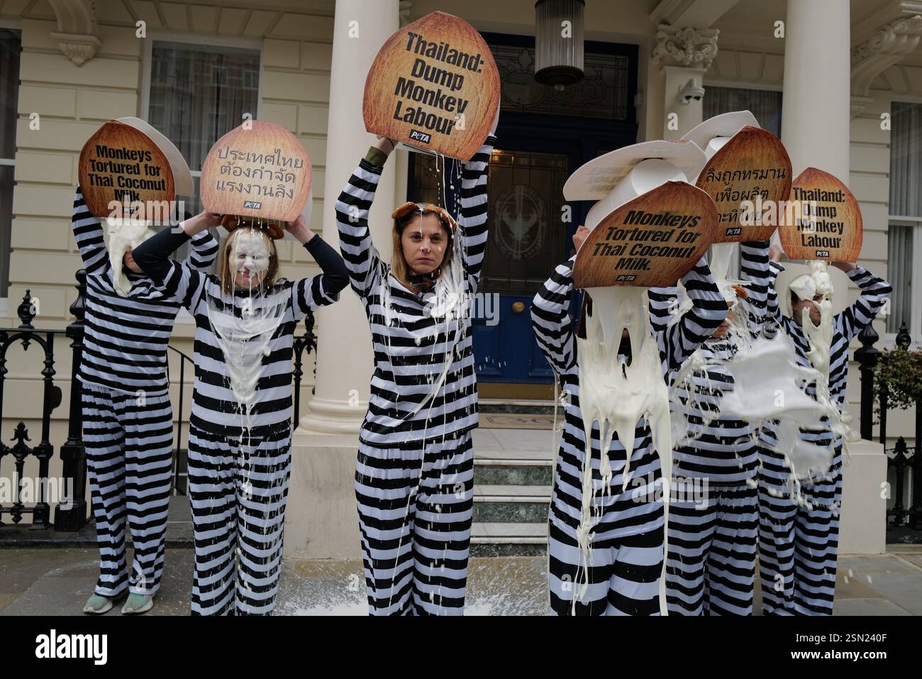 Monkey Riot Activists from PETA stage a dramatic protest outside the Royal Thai ...