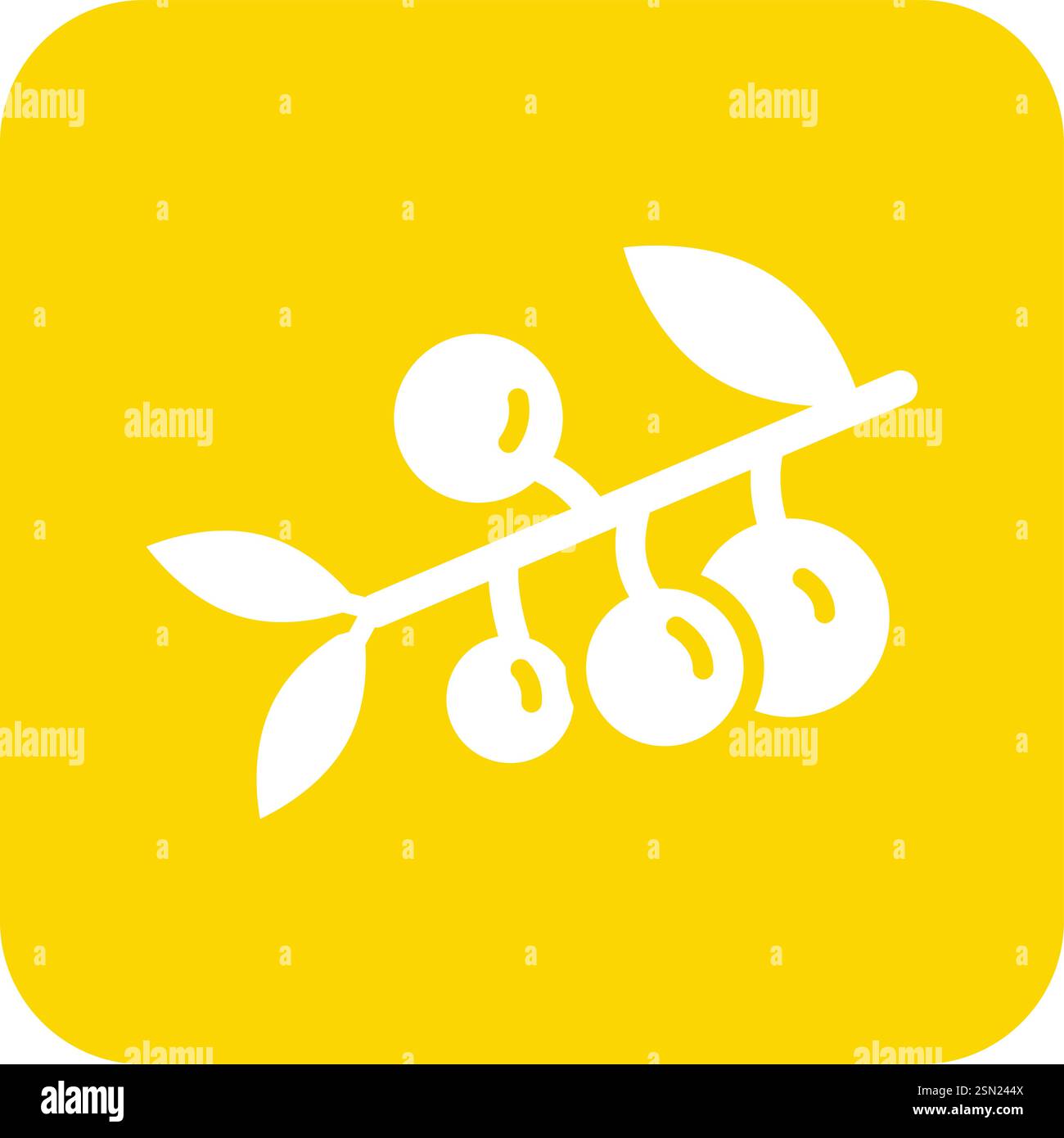 Berries Vector Icon Design Illustration Stock Vector