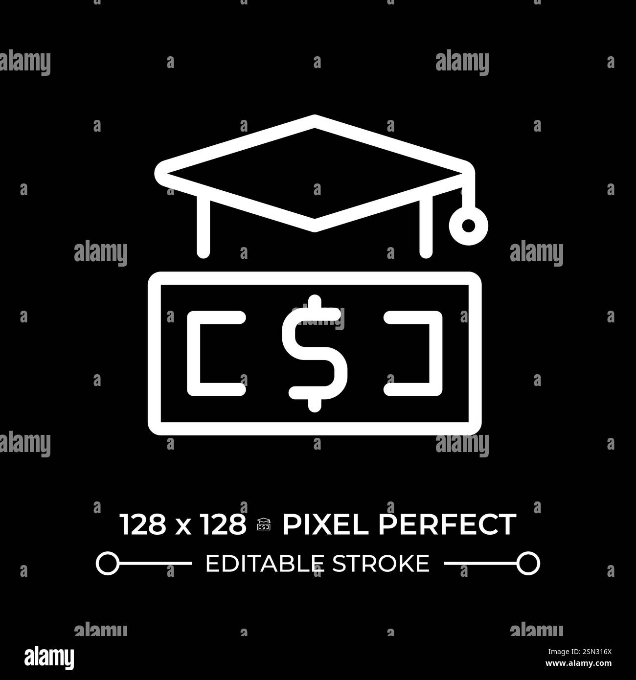 Financial literacy pixel perfect white linear icon for dark theme Stock ...