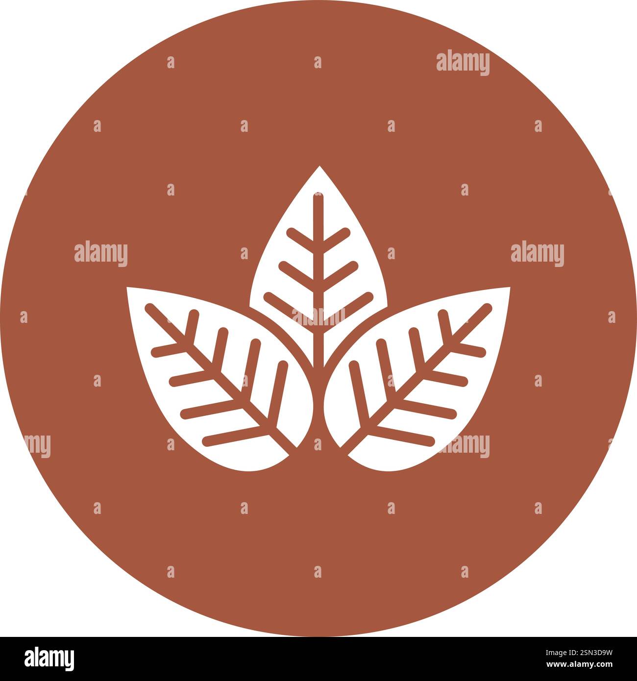 Leaf Vector Icon Design Illustration Stock Vector