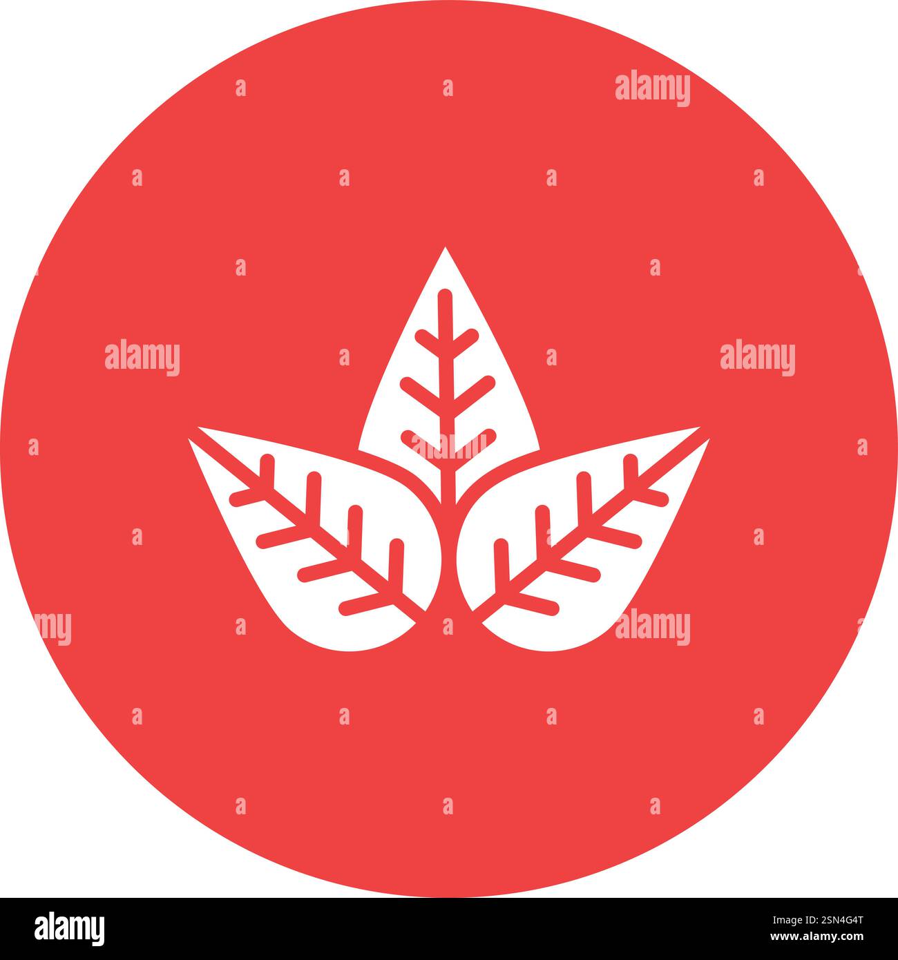 Leaf Vector Icon Design Illustration Stock Vector