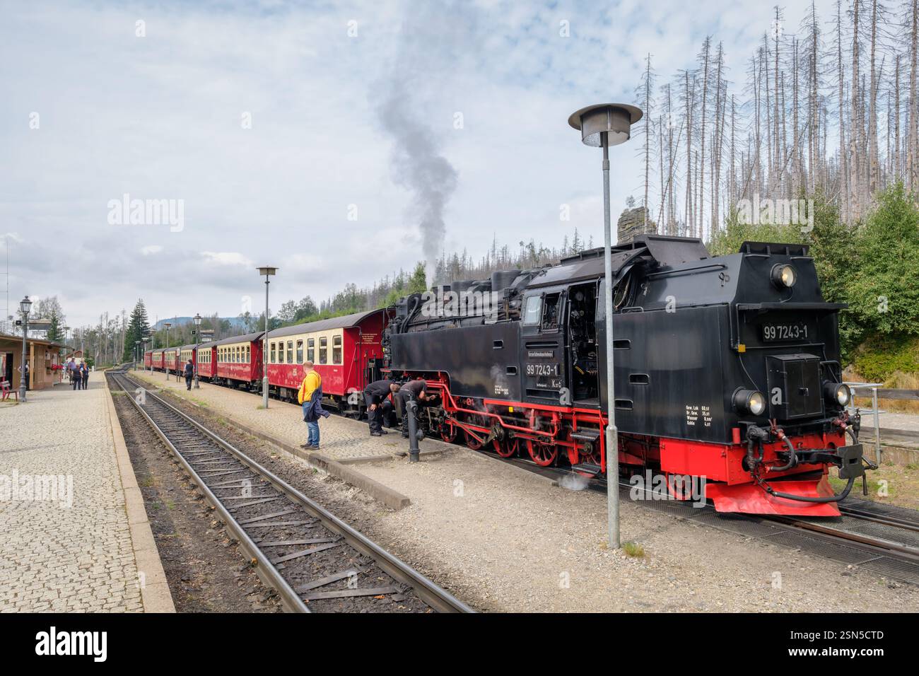 Schierke, Germany – August 30, 2024: A steam train of the German Brockenbahn is waiting at the station of Schierke in the summer. Stock Photo