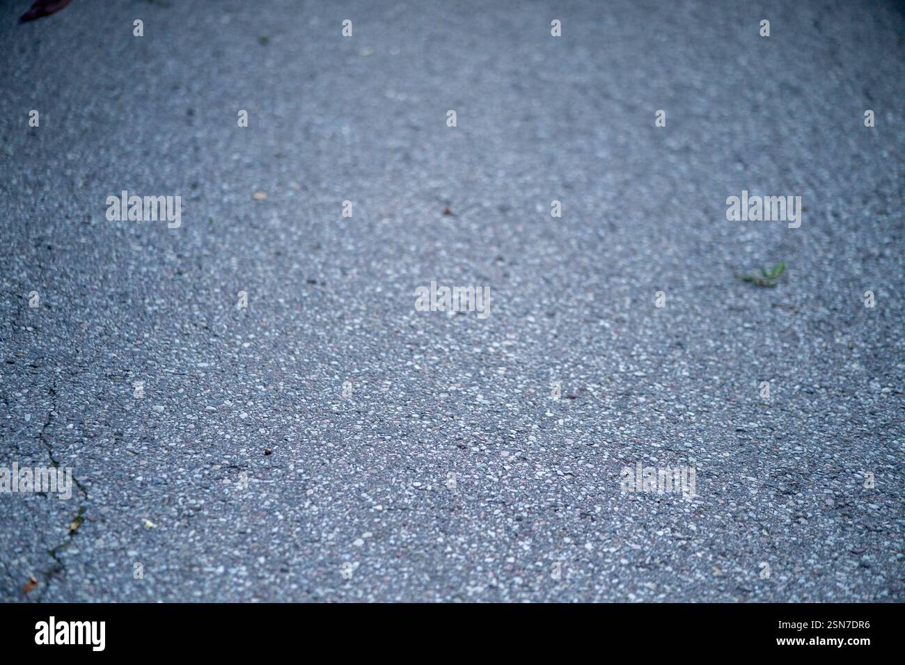 Infrastructure Texture Close-up of a gray asphalt road showing detailed texture and small ...