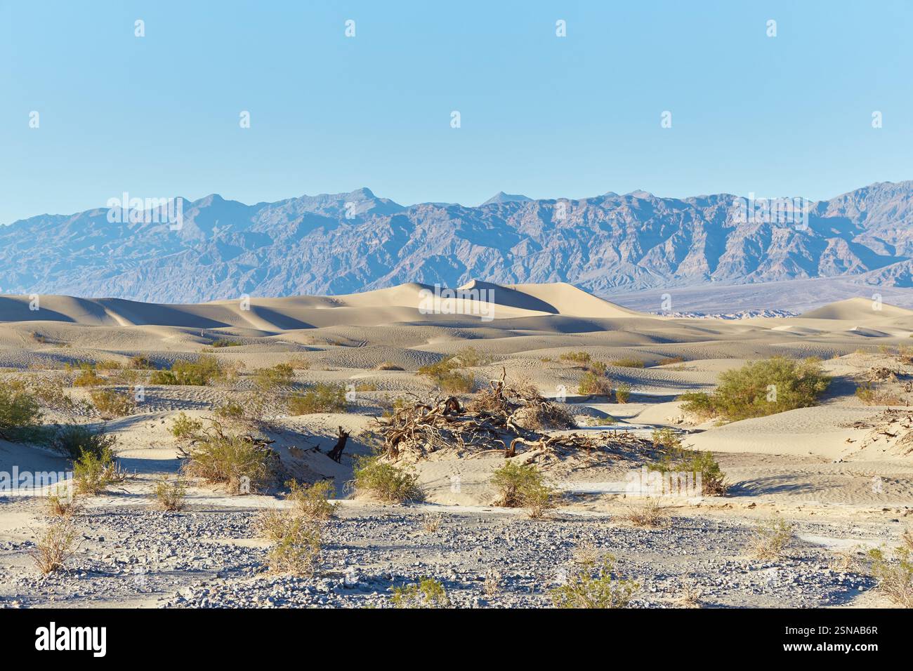 California's Death Valley National Park is the hottest and driest place ...