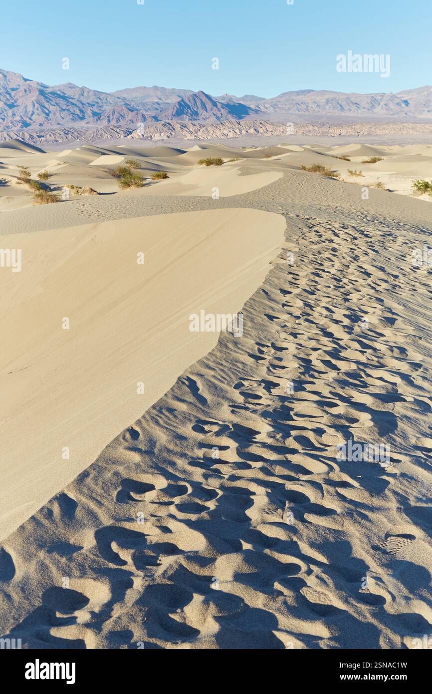 California's Death Valley National Park is the hottest and driest place ...