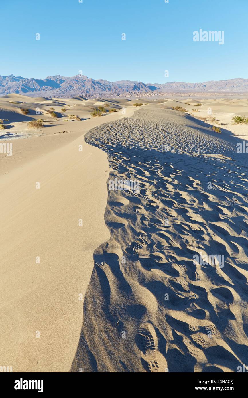 California's Death Valley National Park is the hottest and driest place ...