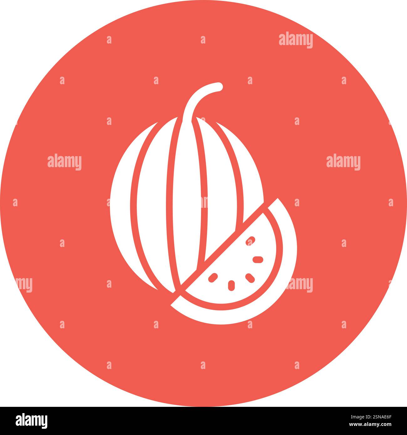 Watermelon Vector Icon Design Illustration Stock Vector