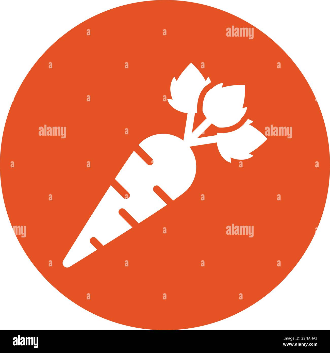 Carrot Vector Icon Design Illustration Stock Vector