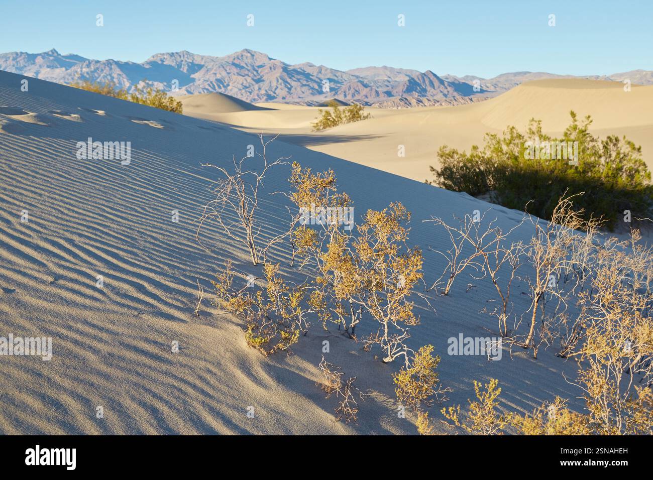 California's Death Valley National Park is the hottest and driest place ...