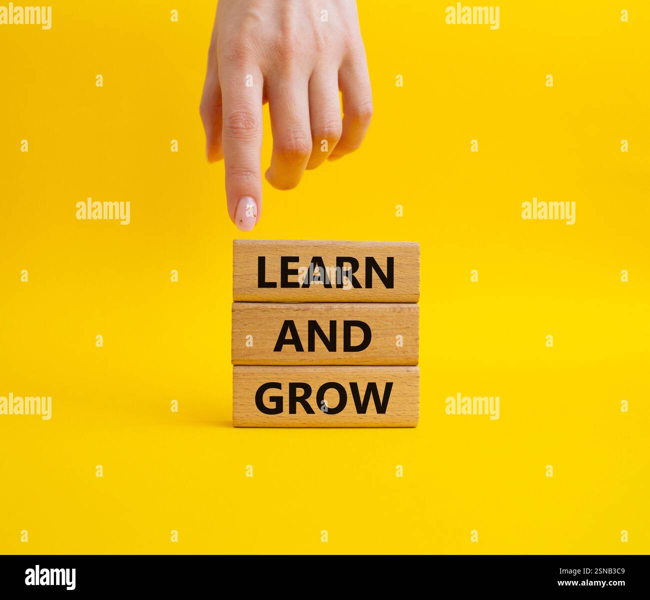 Learn and grow symbol. Concept words 'Learn and grow' on wooden blocks ...