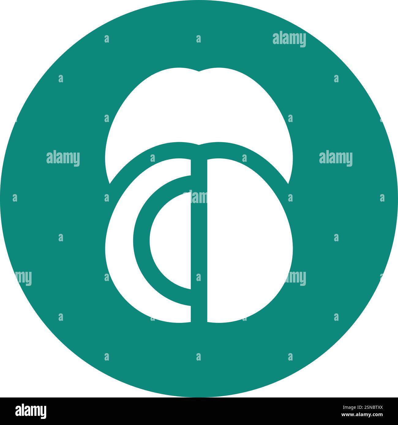 Jujube Vector Icon Design Illustration Stock Vector