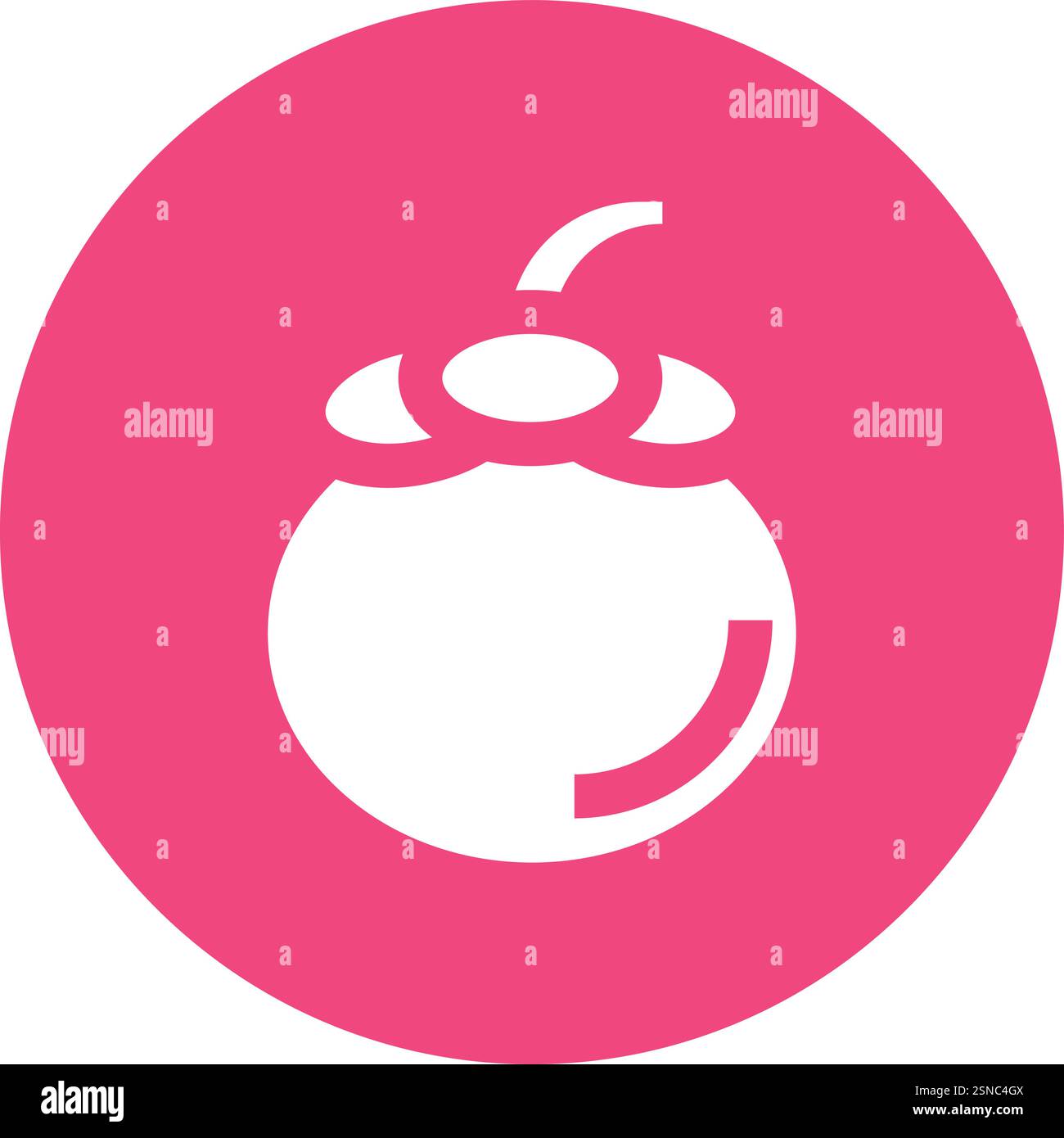 Mangosteen Vector Icon Design Illustration Stock Vector
