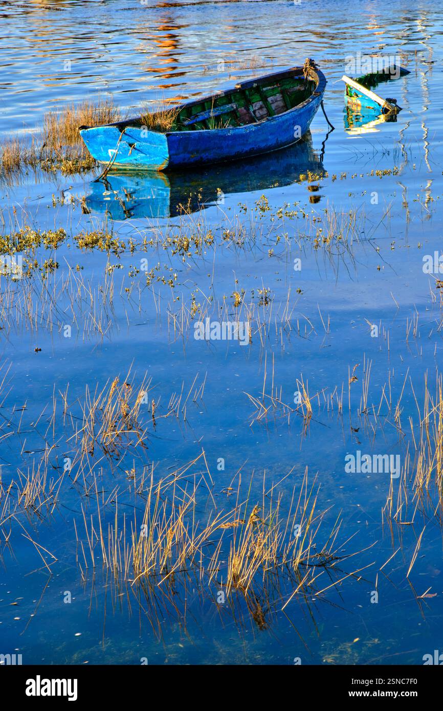 Weathered blue boat surrounded by water and reeds. Colindres, cantabria, spain Stock Photo