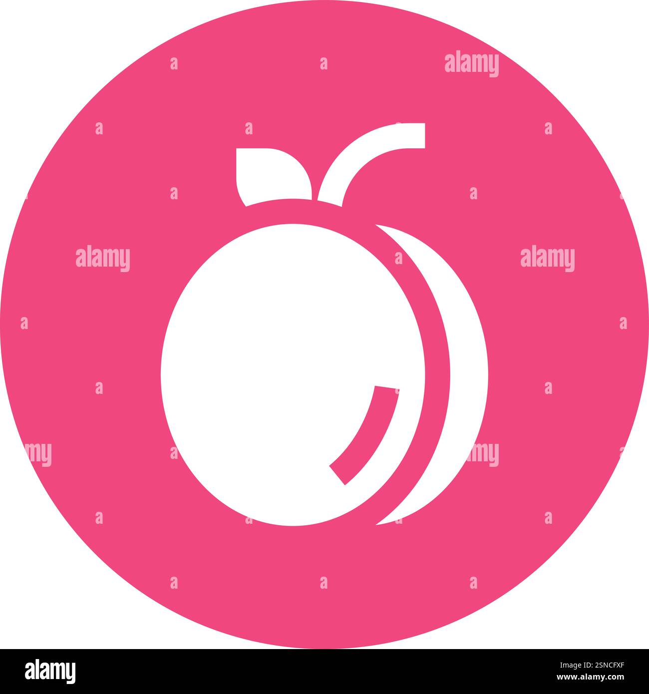 Apricot Vector Icon Design Illustration Stock Vector