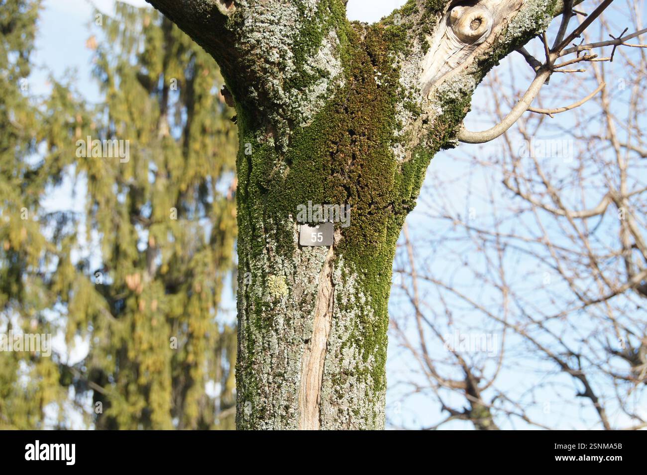 Forest retention sign hi-res stock photography and images - Alamy