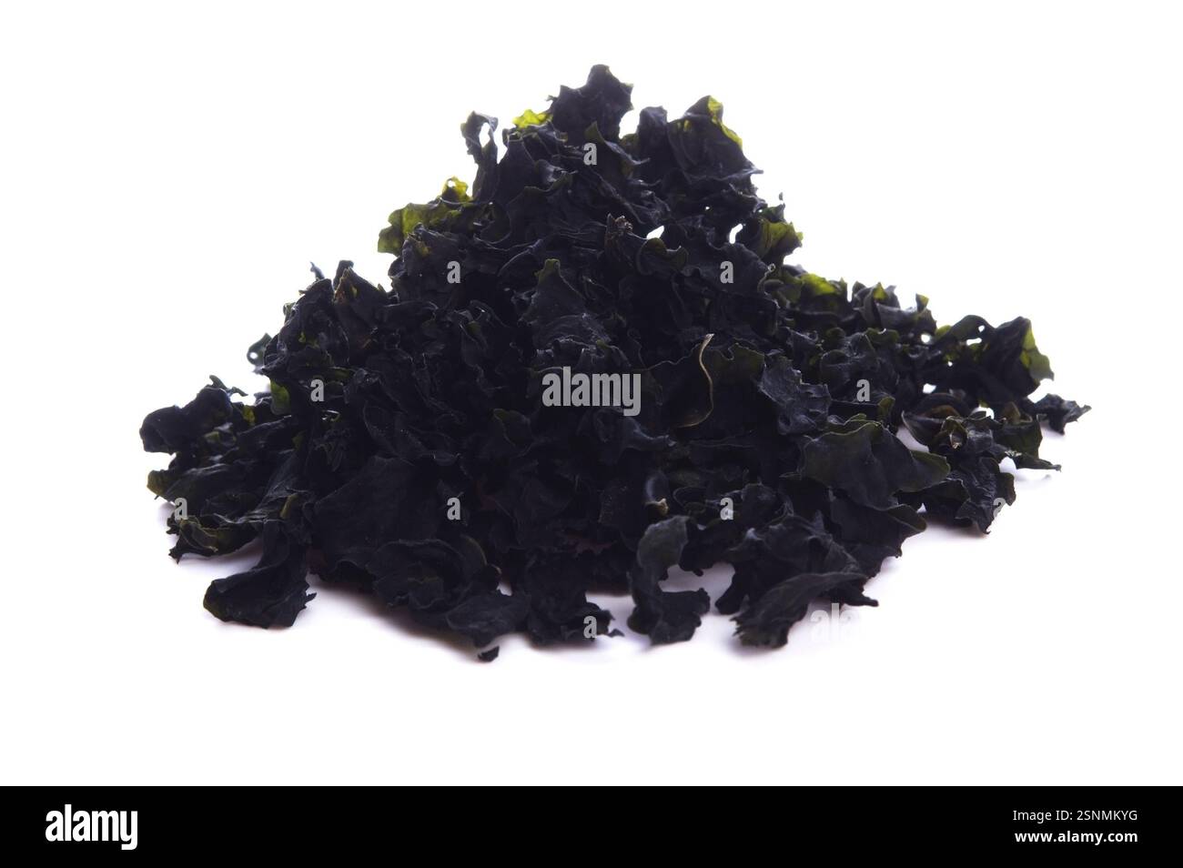 Brown algae white sea Cut Out Stock Images Pictures Alamy