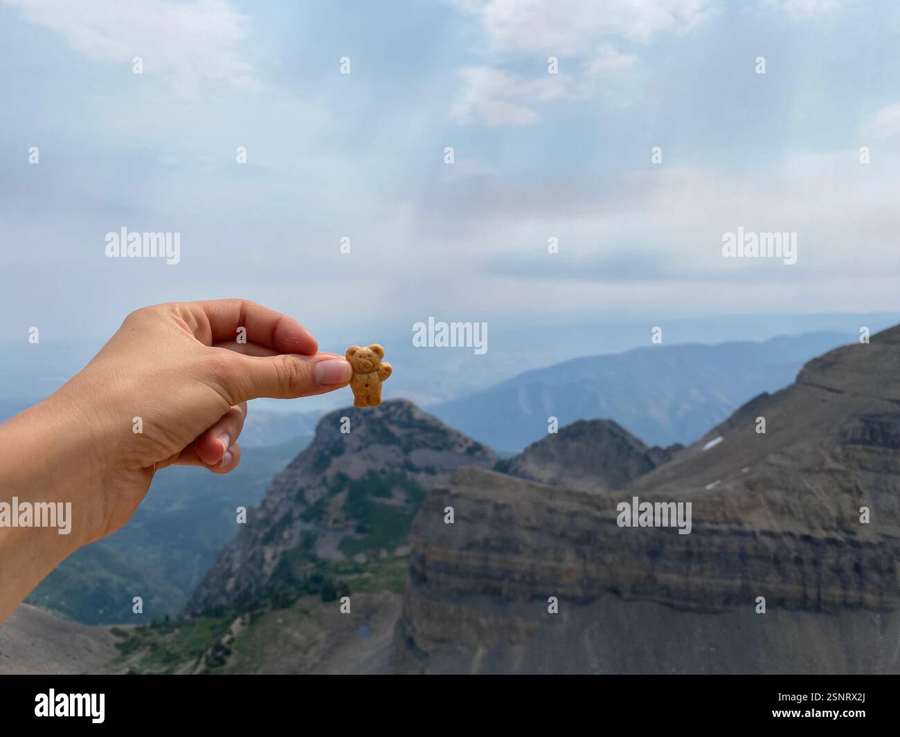 Teddy graham on the top of a mountain - Smartphone Captured Stock Image