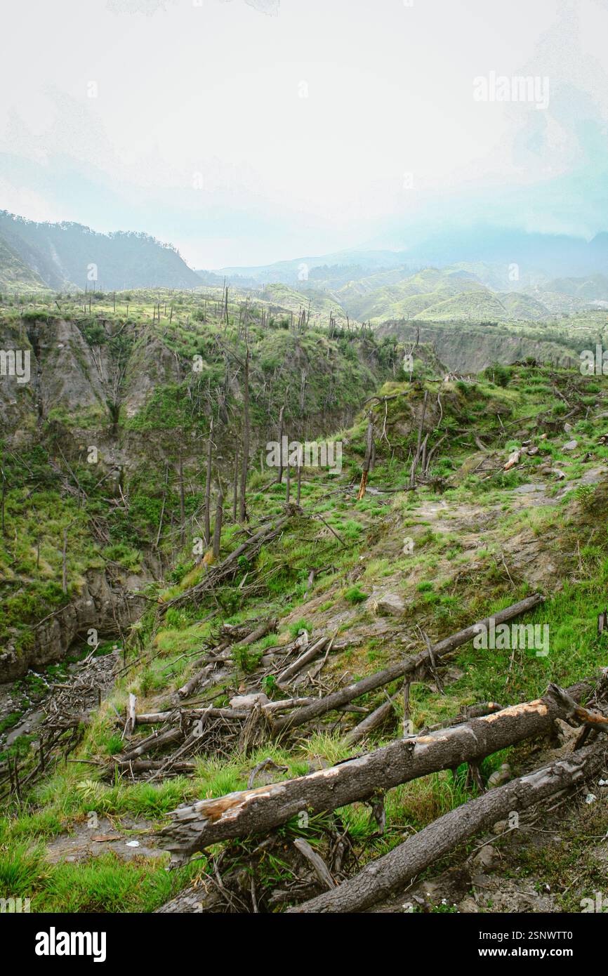 Mountainous Landscape Of Merapi After Eruption In October 2011 With ...