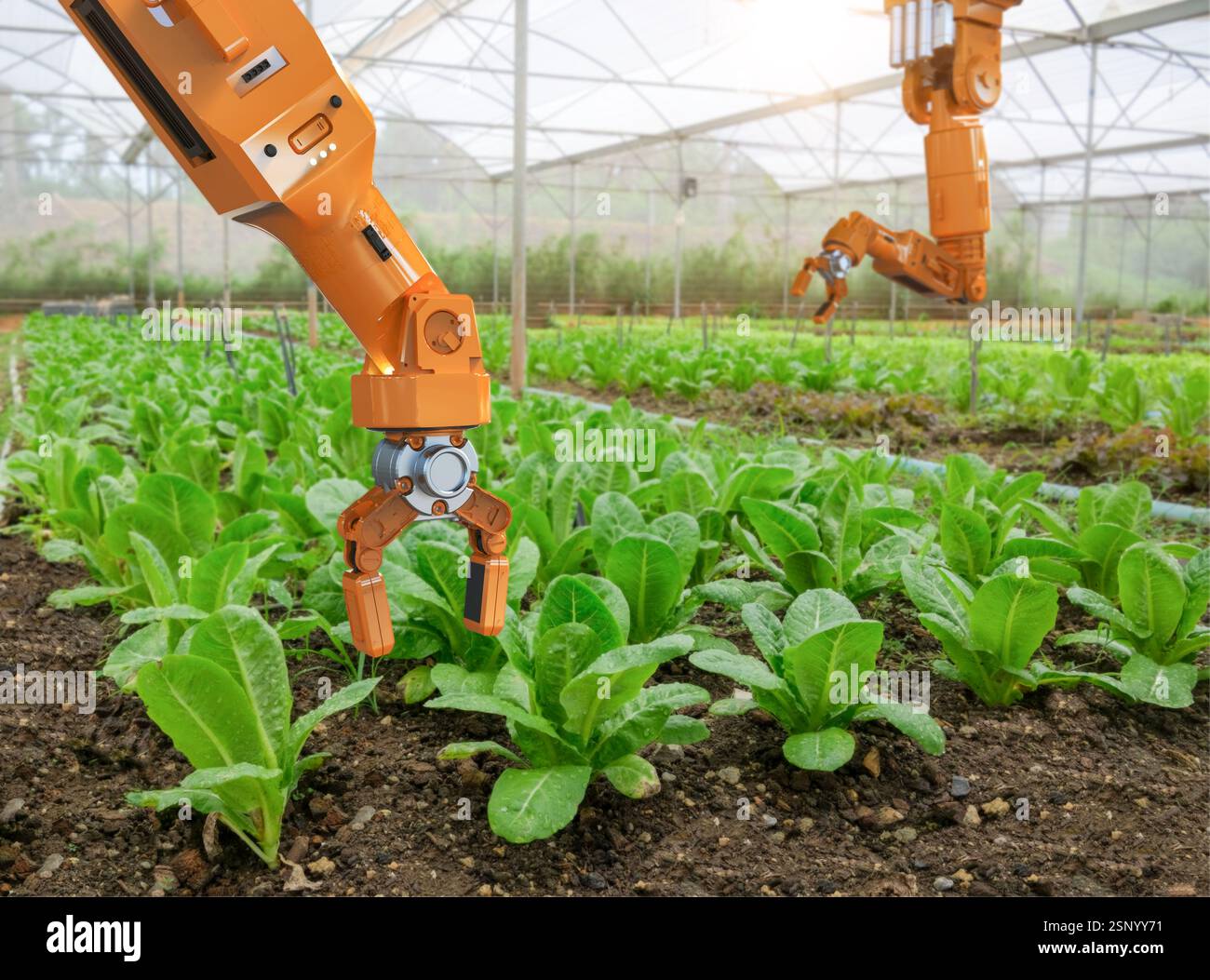 Agriculture technology concept with 3d rendering robotic arm harvest ...
