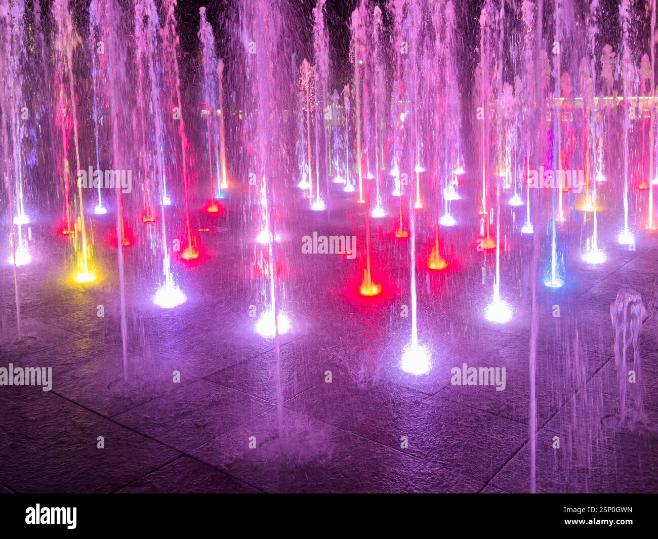 Colorful water fountain dance show with laser light at night Stock ...