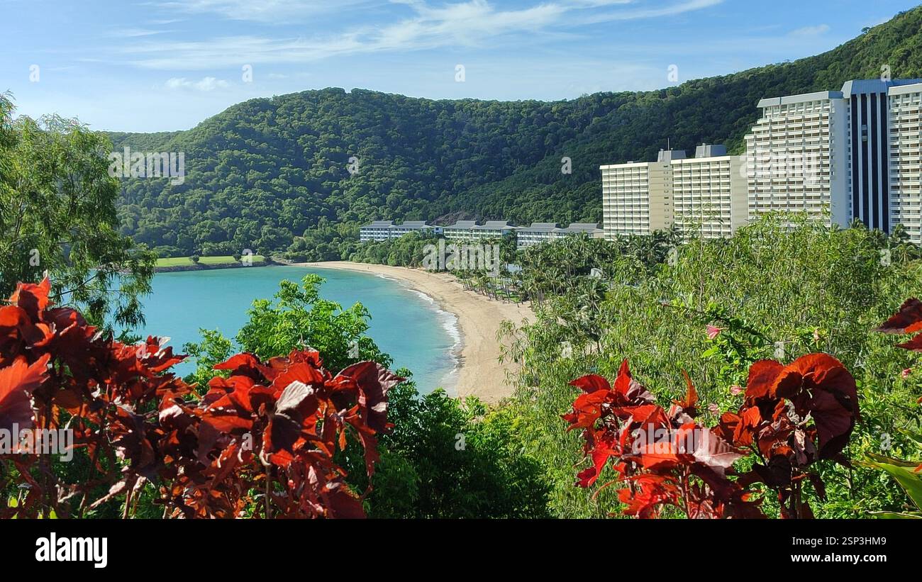 Hamilton Island paradise: turquoise water laps at a shore of pristine white sand, palm trees sway gently, and a luxurious hotel hints at a dream vacat Stock Photo