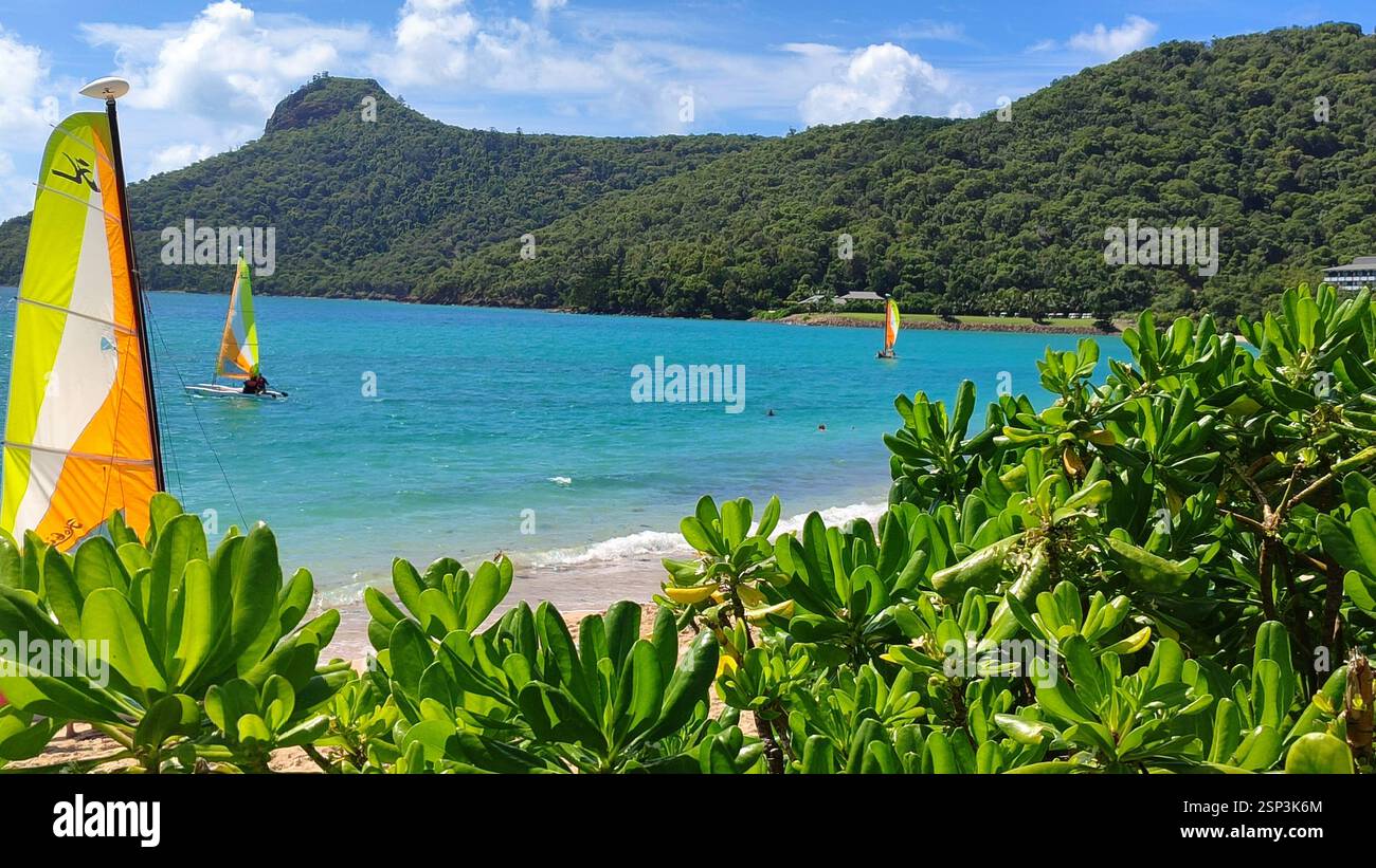 Hamilton Island serenity: a cluster of sailboats carve through a clear blue ocean under a bright sky, promising a peaceful day on this island paradise Stock Photo